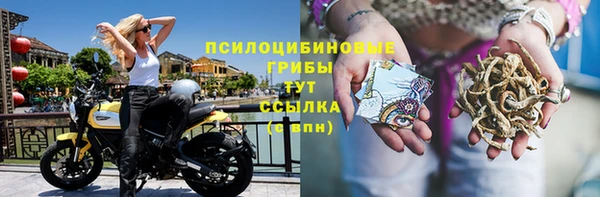МДМА Кодинск